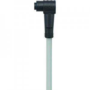 Image of Escha 8052693 AL WKP3 2P00