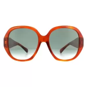 Image of Square Havana Blue Gradient Sunglasses