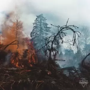 Image of Grieved by Grieved Vinyl Album