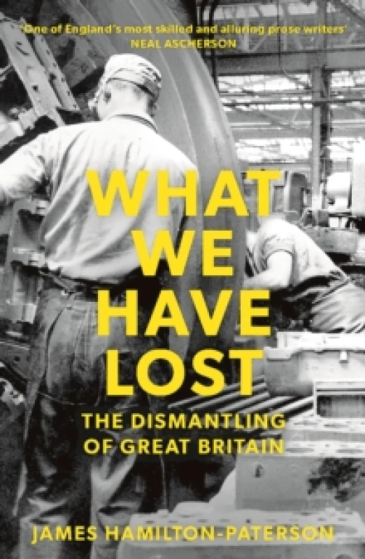 Image of What We Have Lost : The Dismantling of Great Britain Paperback / softback