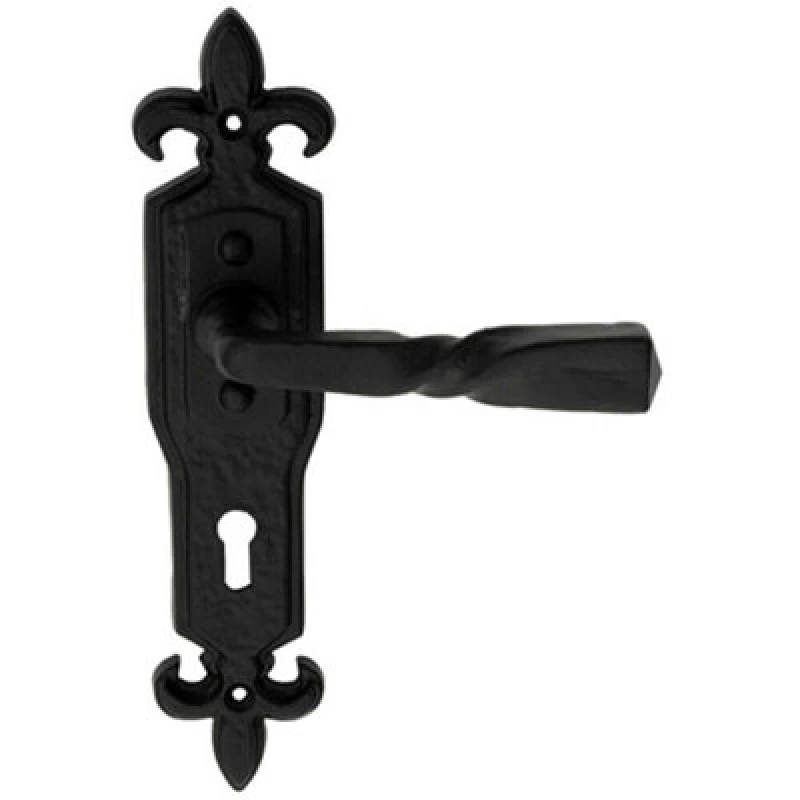 Image of Loops PAIR Forged Twisted Ornate Lever on Lock Backplate 226 x 50mm Black Antique Black