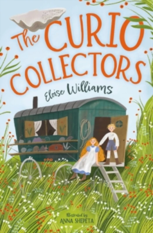 Image of The Curio Collectors Paperback / softback