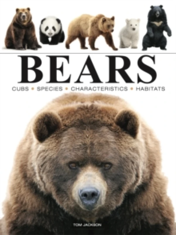 Image of Bears Paperback / softback