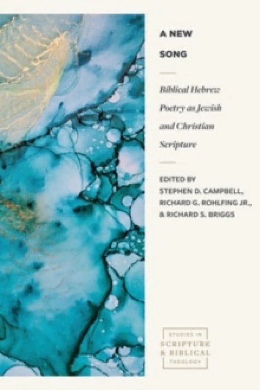 Image of Biblical Hebrew Poetry as Jewish and Christian Scr ipture Paperback / softback