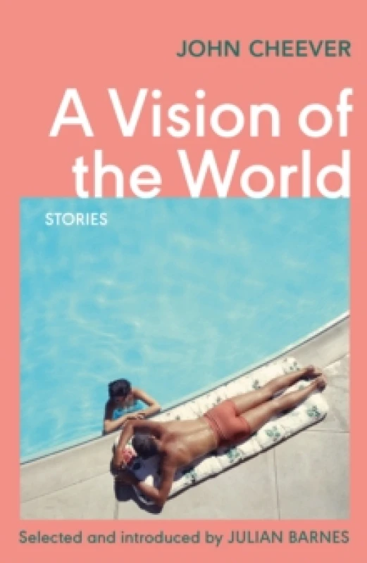Image of A Vision of the World : Selected Short Stories Paperback / softback