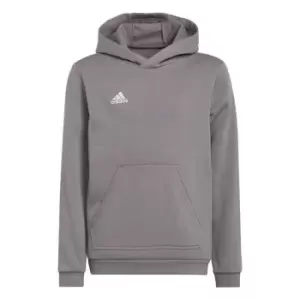 Image of adidas Entrada 22 Sweat Hoodie Kids - Grey