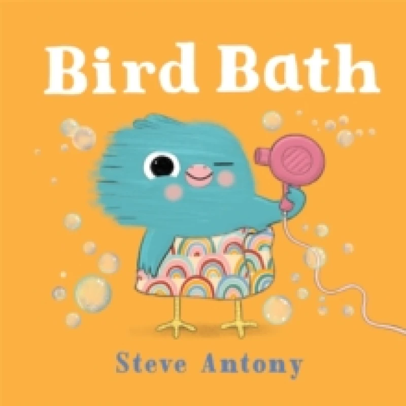 Image of Bird Bath Paperback / softback