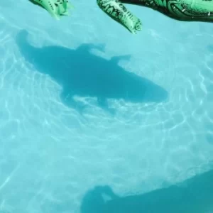 Image of The Official Body by Shopping CD Album