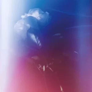 Image of Face to Face by Studio Mule Vinyl Album