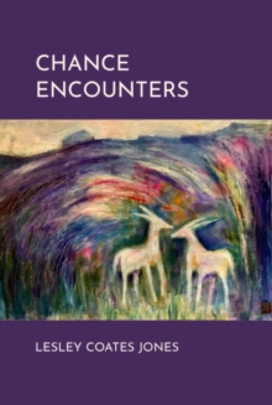 Image of Chance Encounters Hardback