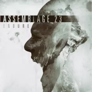 Image of Endure by Assemblage 23 Vinyl Album