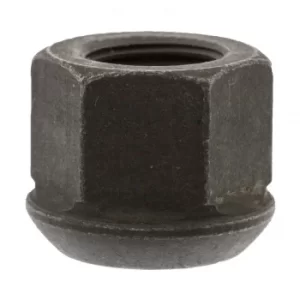 Image of Wheel Nut 06218 by Febi Bilstein