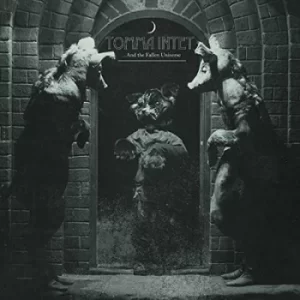 Image of And the Fallen Universe by Tomma Intet CD Album