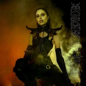 Image of Ptwiggs - Darkening Of Light Vinyl