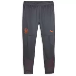 Image of Puma Manchester City Training Bottoms 2023 2024 Adults - Grey
