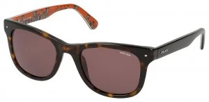 Image of Police Dark Havana Plastic Wayfarer with Brown Lens.