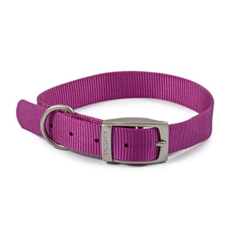 Image of Ancol Viva Weather Proof Lightweight Comfy Buckle Dog Collar Purple