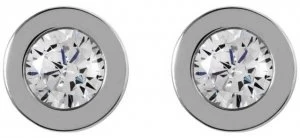 Image of Radley Fountain Road Silver Stone Stud Earrings Jewellery