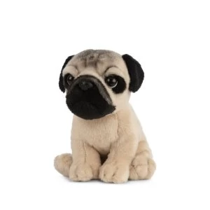 Image of Plush Pug Puppy Soft Toy