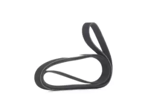 Image of RIDEX V-ribbed belt 305P0108 Serpentine belt,Auxiliary belt MERCEDES-BENZ,HYUNDAI,KIA,G-Klasse SUV (W463),H-1 Travel (TQ),H-1 Cargo (TQ),H350 Kasten
