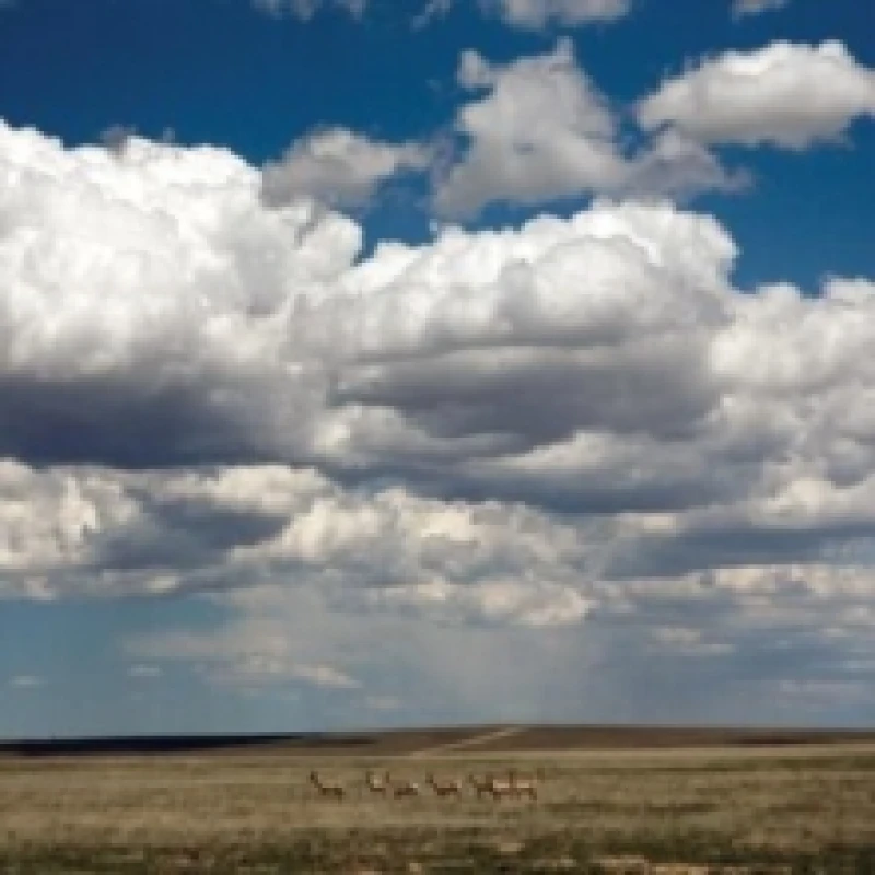 Image of Tripper (Deluxe Edition) Vinyl