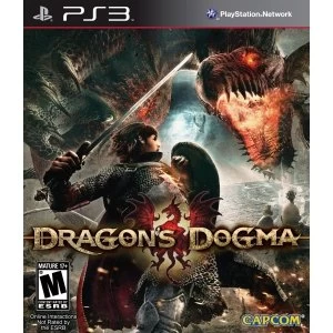 Image of Dragons Dogma Game