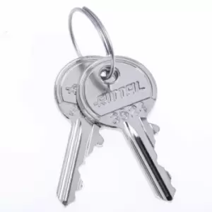 Image of Rittal Key for use with Security Lock 3524 E