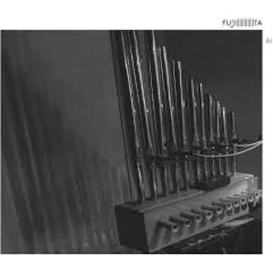 Image of Fujiiiiiiiiiiita - Iki Vinyl