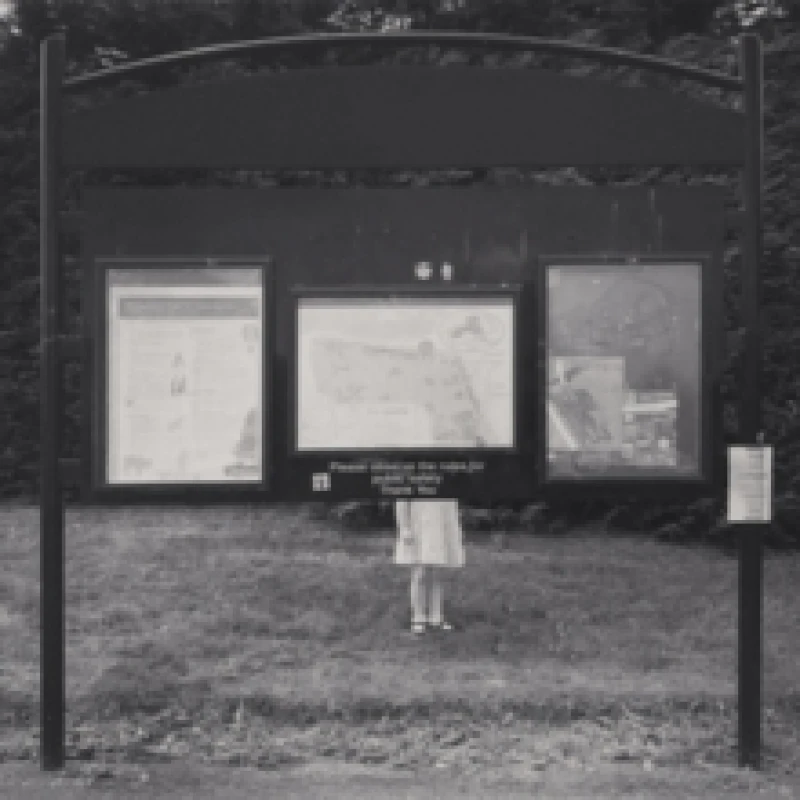 Image of For You Who Are the Wronged CD / Album