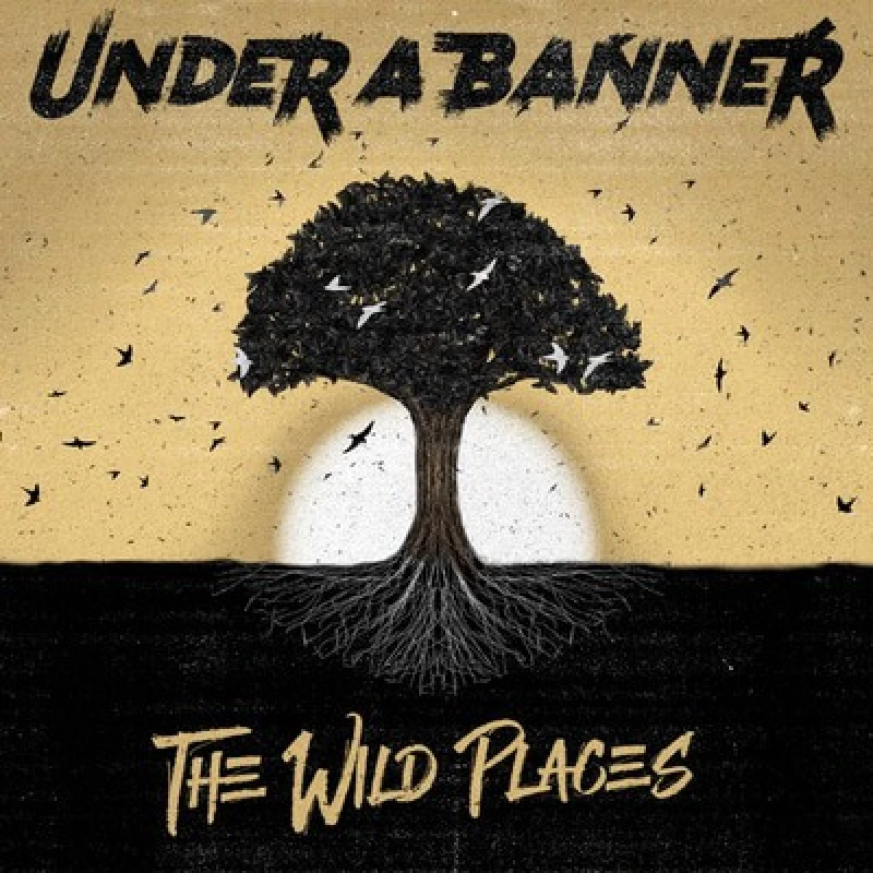 Image of Under A Banner - The Wild Places CD Album - Used