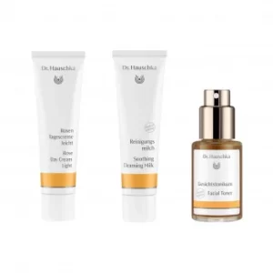 Image of Dr. Hauschka Radiant Rose Light Set 3 x 30ml