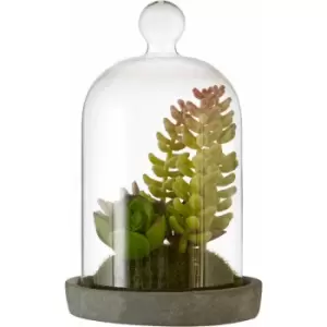 Image of Premier Housewares Fiori Small Succulent Dome with Cement Base