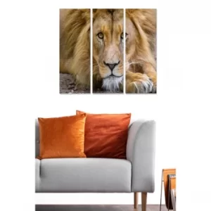 Image of MDF3740159 Multicolor Decorative MDF Painting (3 Pieces)