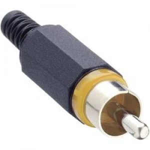 Image of RCA connector Plug straight Number of pins 2 Yellow Lumberg XSTO 1