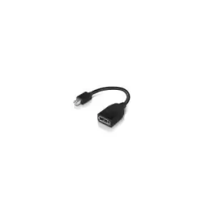 Image of Lenovo 4X90L13971 DisplayPort cable Mini-DisplayPort Black