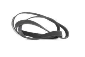 Image of RIDEX V-ribbed belt OPEL,RENAULT,TOYOTA 305P0203 1172000QAW,11720DB000,6340624 7701057890,9091602493,9091602515,9091602600,9091602601