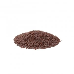 Image of Black Mustard Seeds - 70g pot