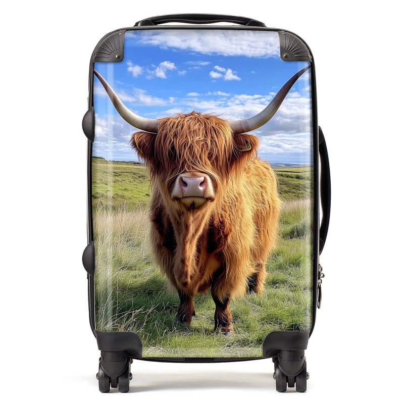 Image of Warren Reed - Designer Highland Cow In Summer Suitcase Size: Cabin Multicolor Unisex Cabin