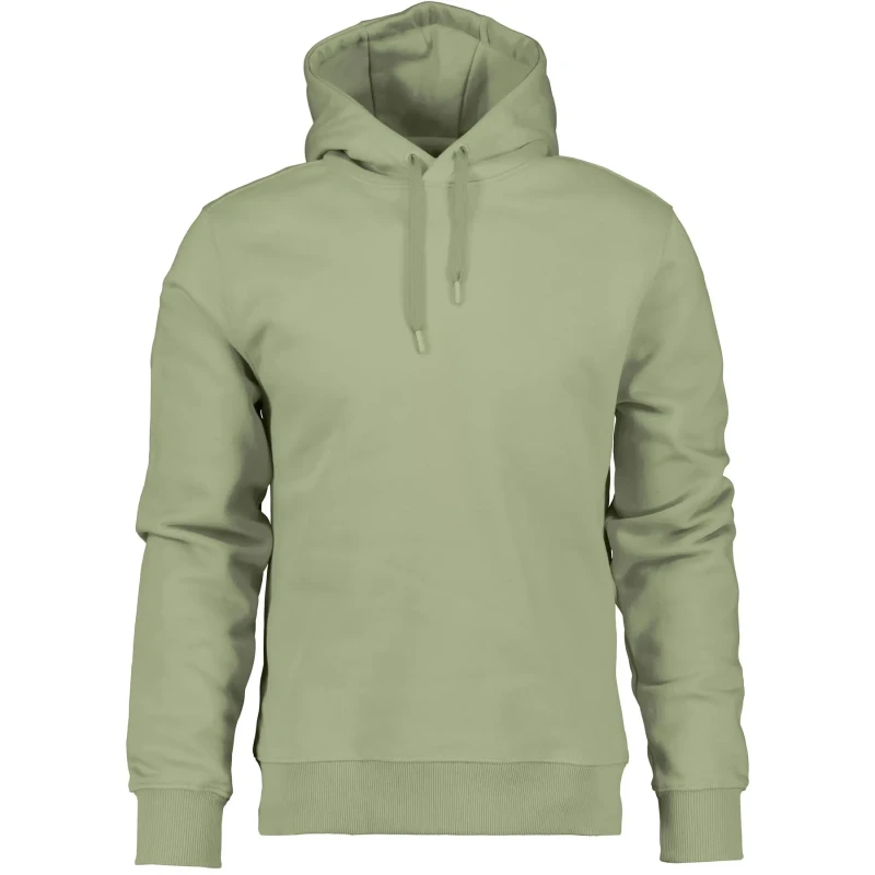 Image of Hooded sweatshirt Didriksons VEN Lands Vert Unisex M