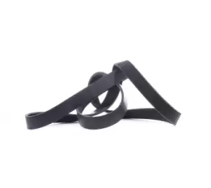 Image of RIDEX V-ribbed belt 305P0289 Serpentine belt,Auxiliary belt VW,AUDI,FORD,Golf IV Schragheck (1J1)