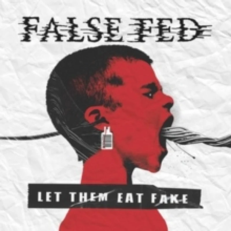 Image of Let Them Eat Fake Vinyl
