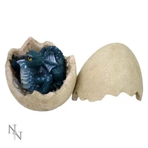 Image of Emerging Wyrm Dinosaur