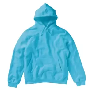 Image of SG Ladies/Womens Plain Hooded Sweatshirt Top / Hoodie (XS) (Turquoise)