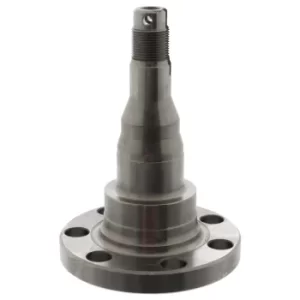 Image of Stub Axle Kingpin 08340 by Febi Bilstein Rear Axle