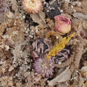 Image of Cold Air by Drowse Vinyl Album