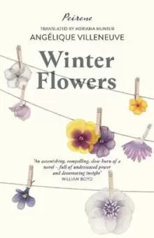 Image of Winter Flowers