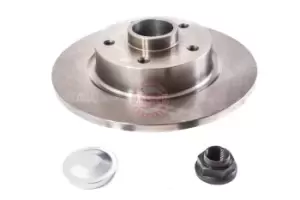 Image of MASTER-SPORT Brake disc Rear Axle 2401110180B-PCS-MS Brake rotor,Brake discs RENAULT,Scenic III (JZ0/1_),GRAND SCENIC III (JZ0/1_),Fluence (L3_)