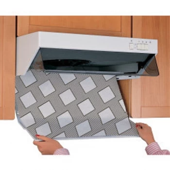 Image of Wenko Steam Flat Filter (2 Pieces) 57 x 47cm