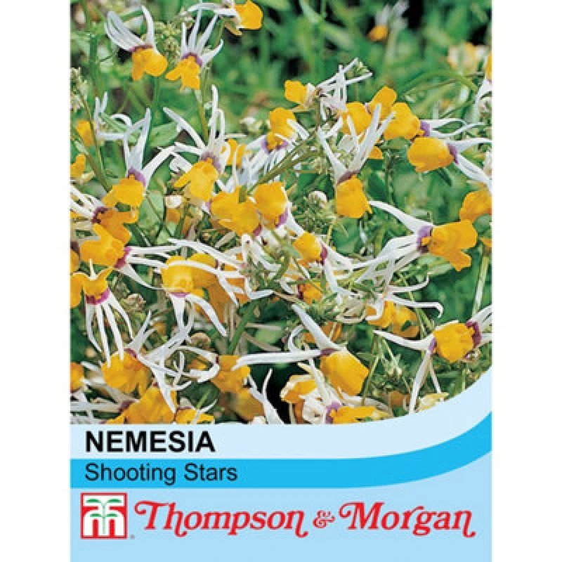 Image of Thompson & Morgan Nemesia Cheiranthus Shooting Stars 1 Packet (80 Seeds)