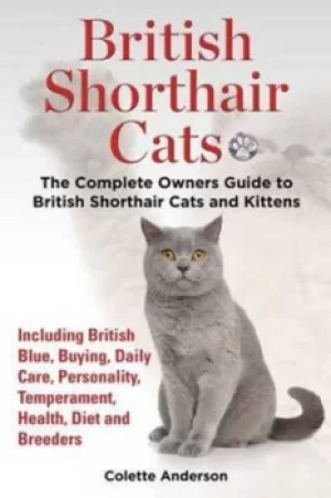 Image of British Shorthair Cats the Complete Owners Guide to British Shorthair Cats and Kittens Including British Blue Buying Daily Care Personality Temperamen